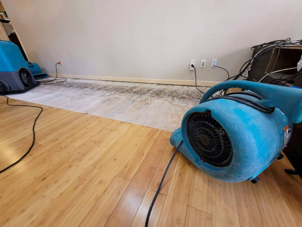 Professional Water Damage Repair technician working in New Castle, DE